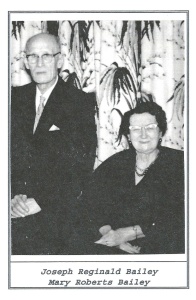 stanley park train christmas uUyf